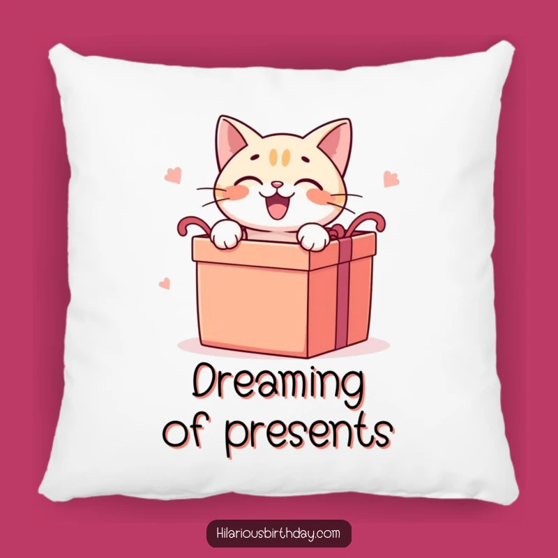Funny Cat Gift Pillow: Cozy Kitty Unboxing Cushion, Whimsical Humorous Present