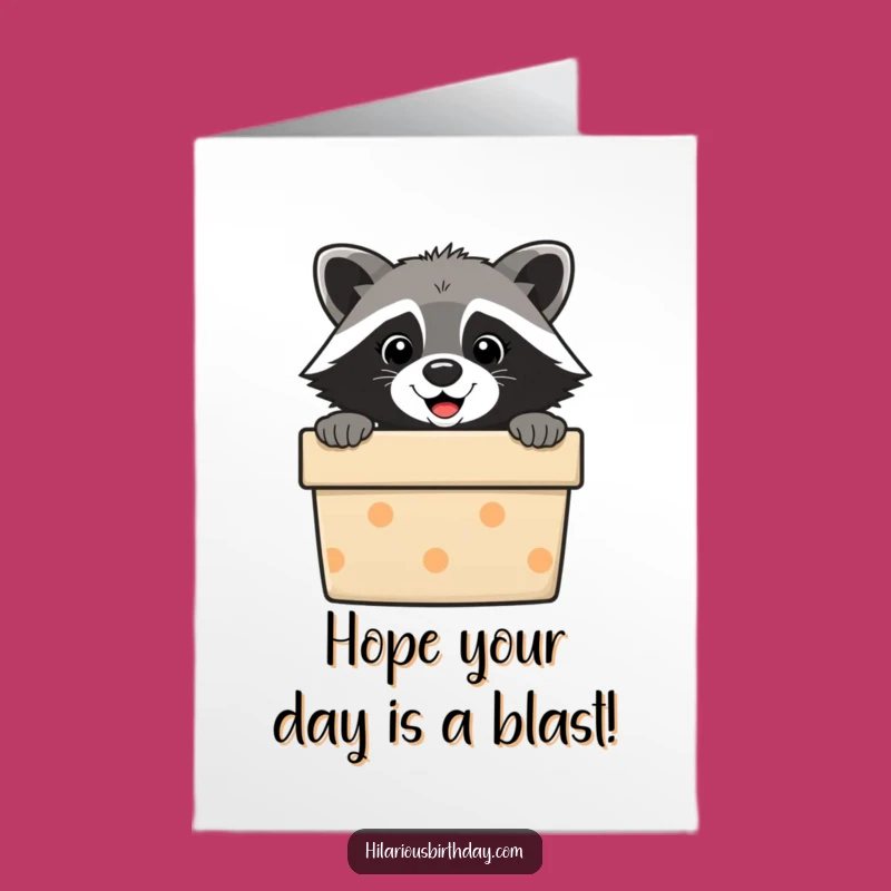 Free Printable Birthday Card: Raccoon Peeking Gift Box Fun - Hilarious Downloadable